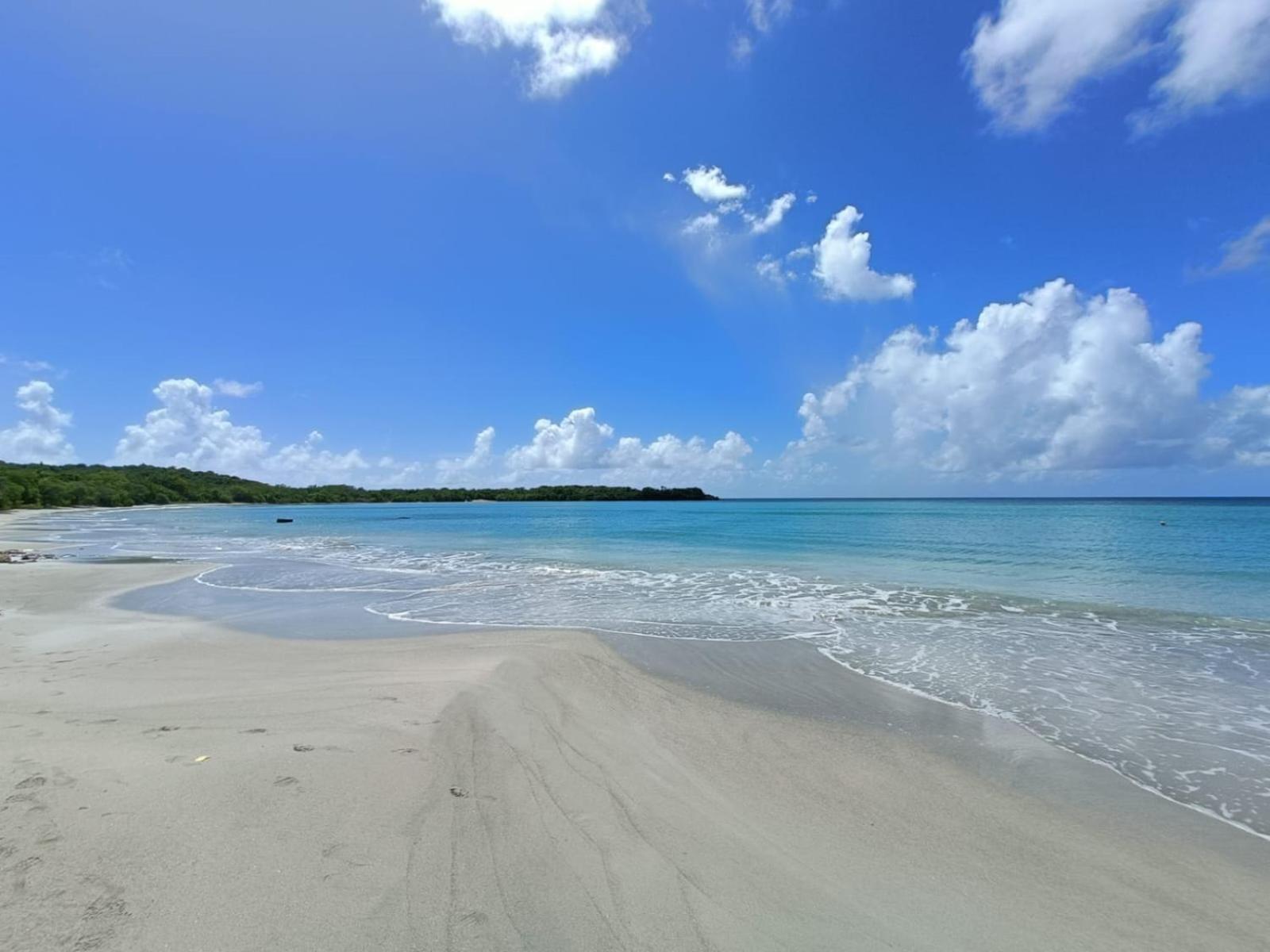 Le Madja'Kaz - Studio En Residence Et Bord De Mer - Sainte Luce Martinique Εξωτερικό φωτογραφία